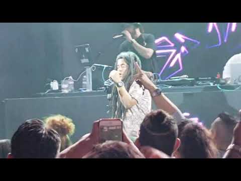 Tego Calderon Live Los Angeles