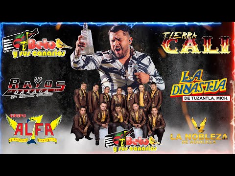 Los Mejores Éxitos de Tierra Caliente ⚡Tierra Cali, Beto y sus Canarios, La Dinastia, Gerardo Díaz