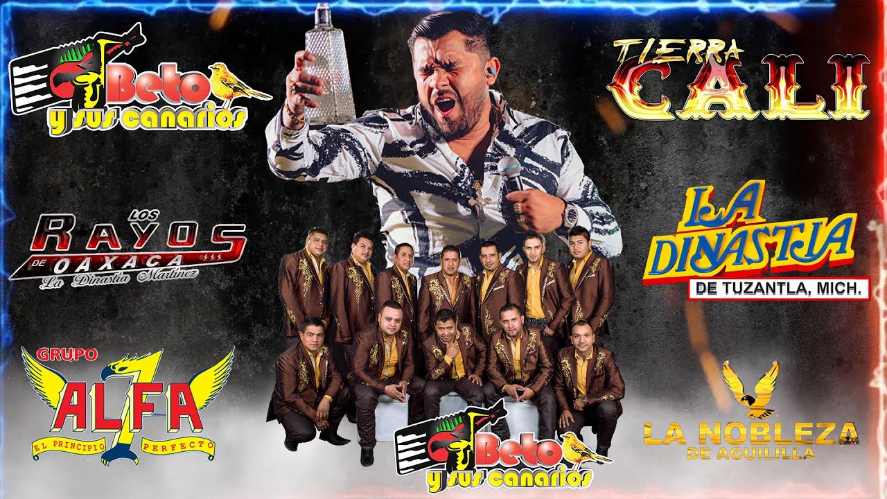 Los Mejores Éxitos de Tierra Caliente ⚡Tierra Cali, Beto y sus Canarios, La Dinastia, Gerardo Díaz