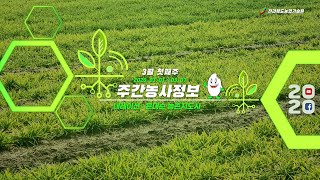 [ 주간농사정보 ] 3월 첫째주