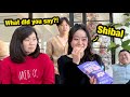 Saying SHIBAL After Every Sentence In Front Of My Korean Family
