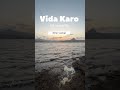 Vida karo | #chamkila solo cover by Nitin Gohel #arijitsingh #shorts #like #share #comment