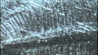 [片單] 完全沒有人或類人演出的電影