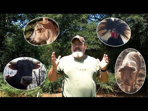 Dr. Sara May, Allergy and Immunology