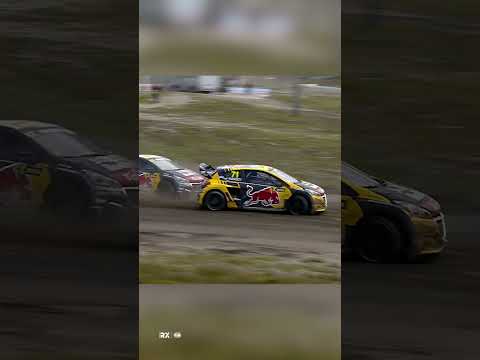 A battle of the brothers #short #shorts