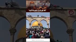 Download lagu Labaik Ya Palestine | Dr Umair Mahmood Siddiqui mp3 Download lagu Labaik Ya Palestine | Dr Umair Mahmood Siddiqui mp3