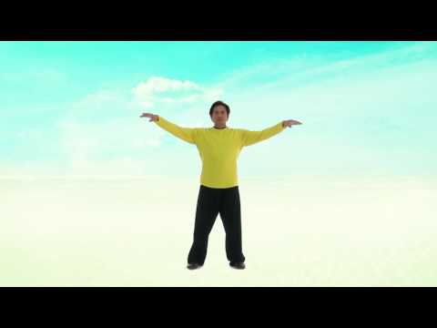 Perth Taichi Academy: 5 Element Qigong