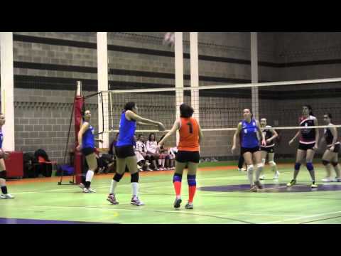 11 01 2016 PALLAVOLO OPEN FEMMINILE VERCURAGO A vs ROVINATA