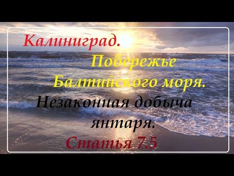 Калининград.Балтийск.Поиск янтаря на берегу моря.Выброс.