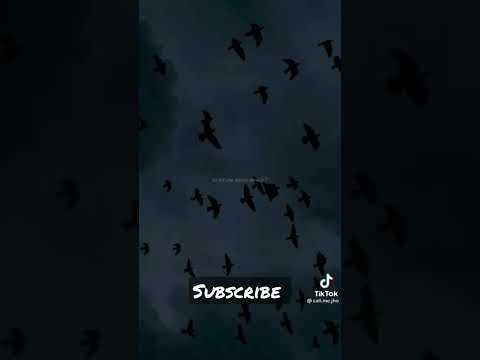 So please song 🎵.