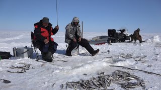 Бешеный клев в метель попали на жор вот это рыбалка