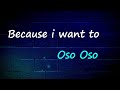 Oso Oso - because i want to (Lyrics)