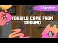 Fossils Come From Ground