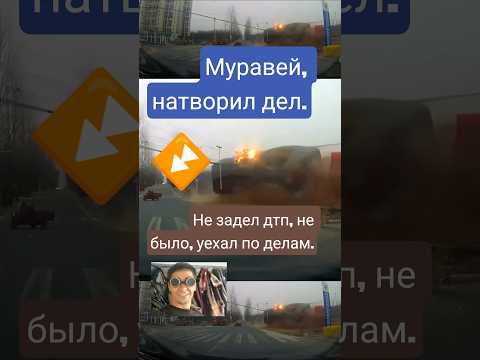 рамазан на муравье.красавчик.