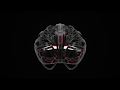 LAZER Genesis Race Fietshelm Titanium — video 4