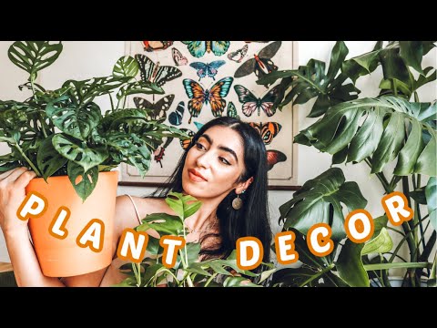 HOW TO DECORATE WITH HOUSEPLANTS | Houseplant Tour, Plant Decor Tips and Ideas