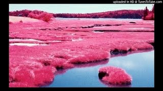 Ducko McFli - Bando (Ft. Ye Ali & Reese La Flare)