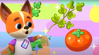 Кошечки-Собачки. Эксперимент. Серия 99