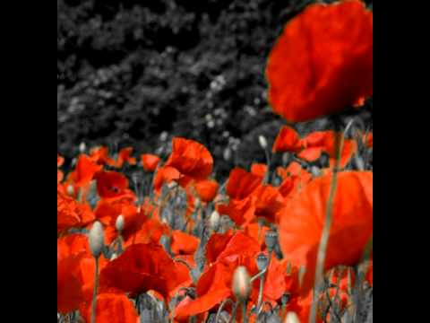 MASAAKI_ENDOH[ENSON]　キミガタメ