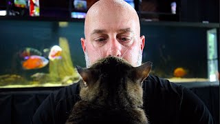 STOP Wasting Money On Fish Food! What is THE BEST Food For Y