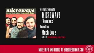 Microwave - Roaches