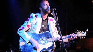 Paul McDonald - The Grand Magnolias - American Dreams