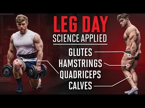 The Most Effective Science-Based Leg Day 2019 (New Upper/Lower Split) Video