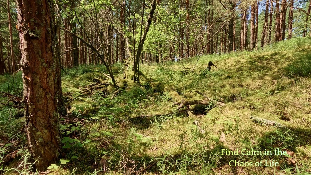 Harnessing AI Meditation for Compassion and Relationships