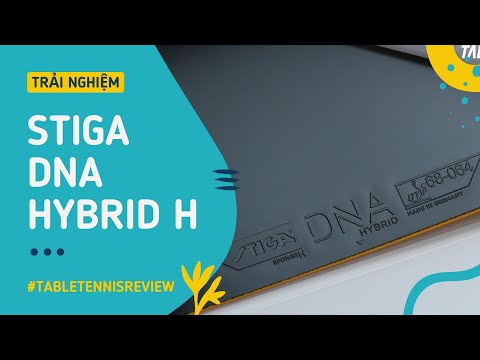 Stiga DNA Hybrid H | Revisão de tênis de mesa