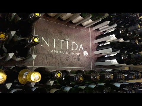 Nitida - Introduction