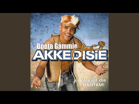 Akkedissie
