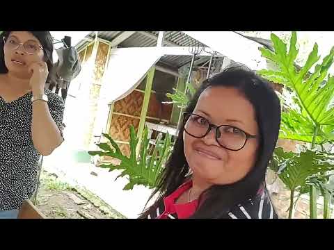 Beth And Philip Sure Do Love Their Animals