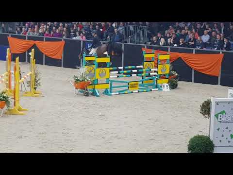 Ibolensky  v. Cornet Obolensky x Contender