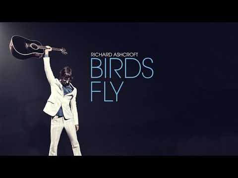 Birds Fly video