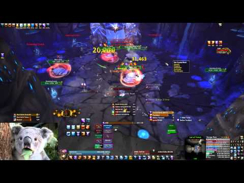 Throne of Thunder 10H - Tortos