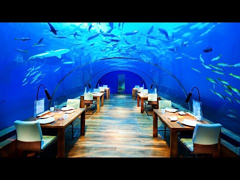 MagiCXbeats - Adversity (Chill Version)