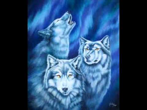 Wolves