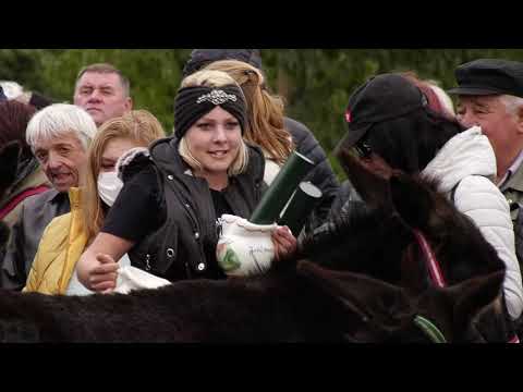 Trajna Nine Naj 16.10.2021. 1/2