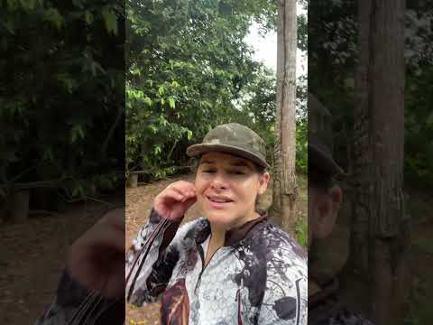 # curvelândia Mato Grosso onde é