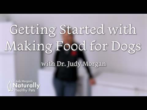 Getting Started with Making Food for Dogs