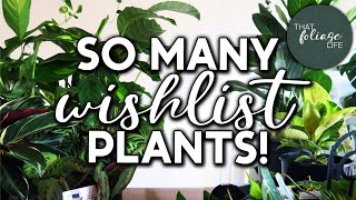 HUGE House Plant Haul!