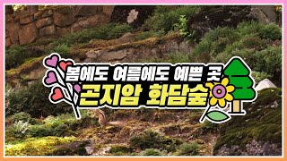 [#온택트 숲여행] 봄에도 여름에도 예쁜 곳, 곤지암 화담숲