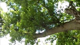 Me You and My Medication-Boys Like Girls