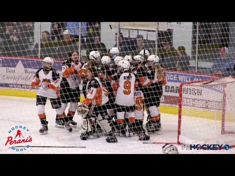 2019 MAHA 14U Tier 2 girls' state championship - St. Clair Shores vs. Little Caesars FH