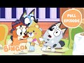 Sleepover Chaos Bluey Full Episode Bingo Bluey And Muffin Bingo Official Channel