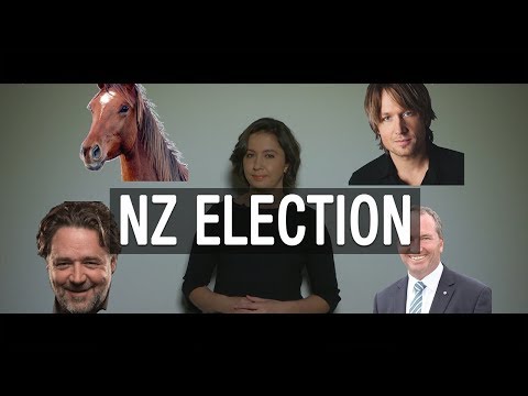 NZ Election - The Feed