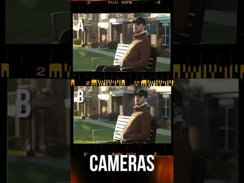 Can you see it...? 👀