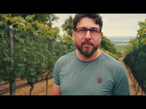 OTT + Bio Imkerei Scheer