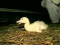 Nena Irgendwie Irgendwo Irgendwann Teil 1 Von 2