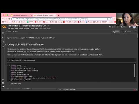 11-785 Spring 2023 Recitation 1: Your First MLP